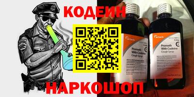 индика Партизанск