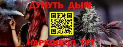 индика Партизанск