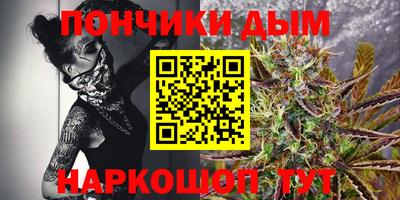 индика Партизанск