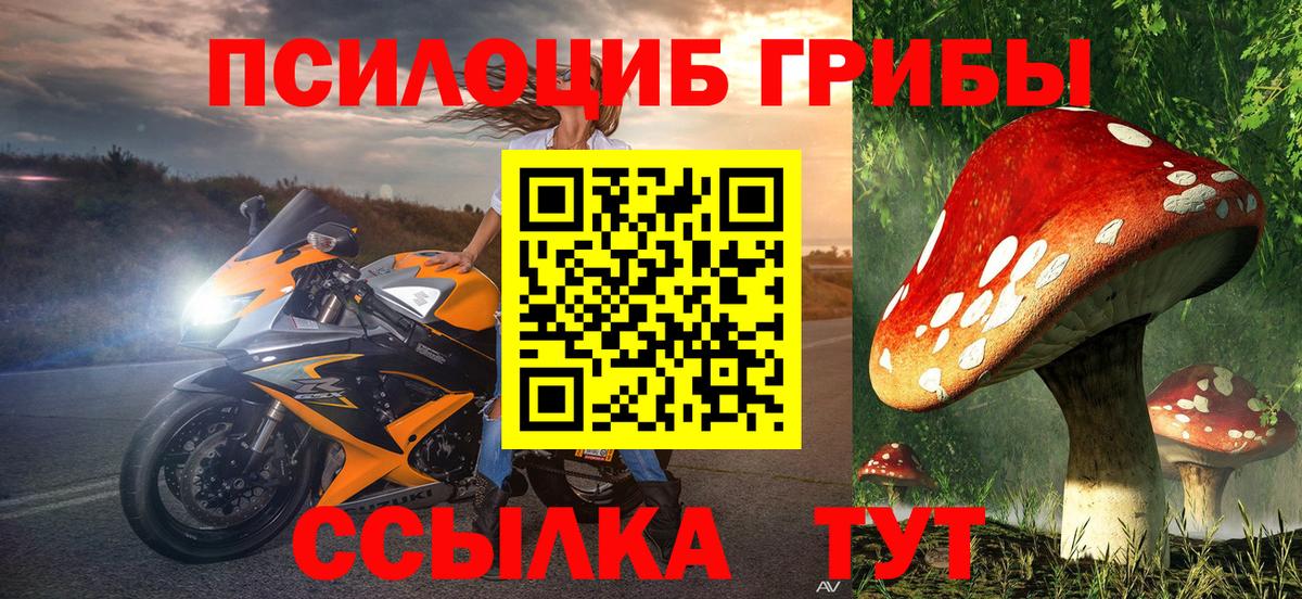 Псилоцибиновые грибы прущие грибы  Вход с VPN  Сафоново 