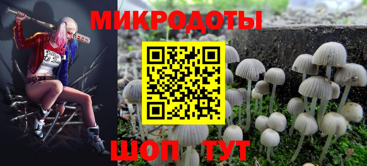 Галлюциногенные грибы прущие грибы Сафоново